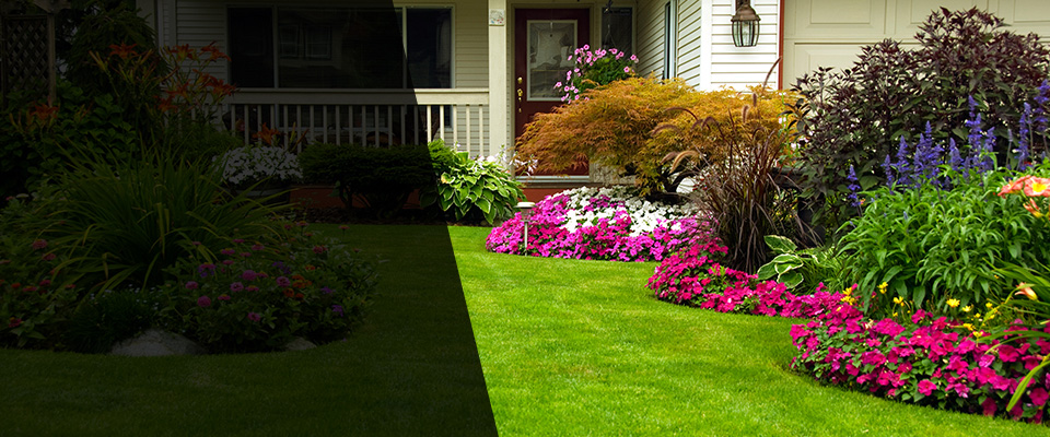 North Bend Landscapers